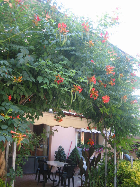 Albergo Ristorante Sterlina Grizzana Zimmer foto